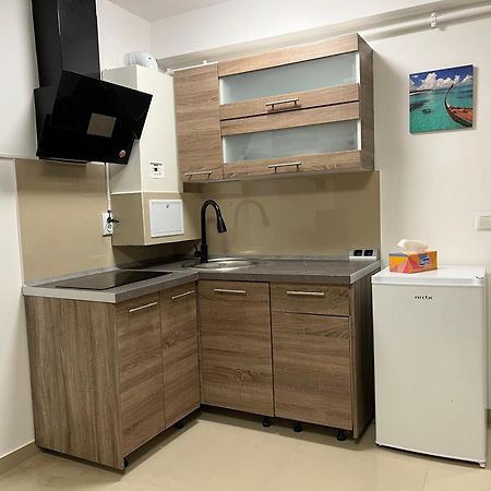 Ndl Apartaments クルージュ＝ナポカ エクステリア 写真